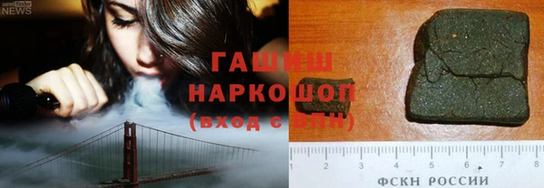 шишки Белокуриха