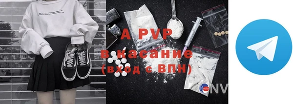 шишки Белокуриха