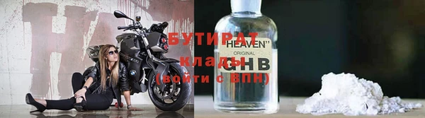 шишки Белокуриха