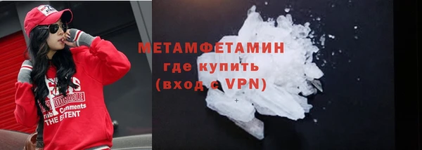 шишки Белокуриха