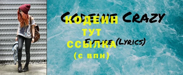 шишки Белокуриха