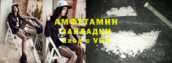 шишки Белокуриха