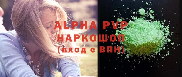 шишки Белокуриха