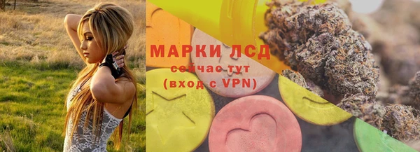 шишки Белокуриха