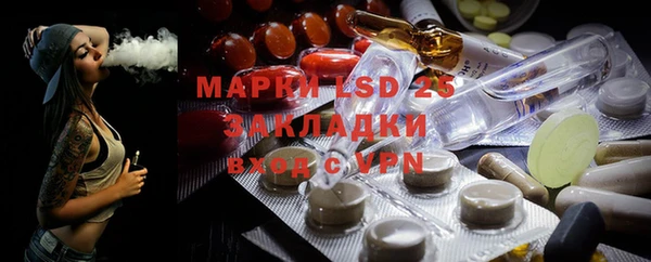 шишки Белокуриха