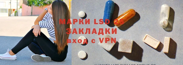 шишки Белокуриха