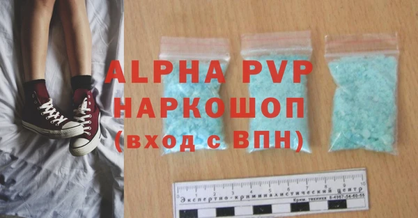 шишки Белокуриха