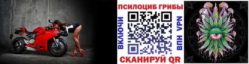Купить где  Бронницы  Псилоцибиновые грибы ЛСД 